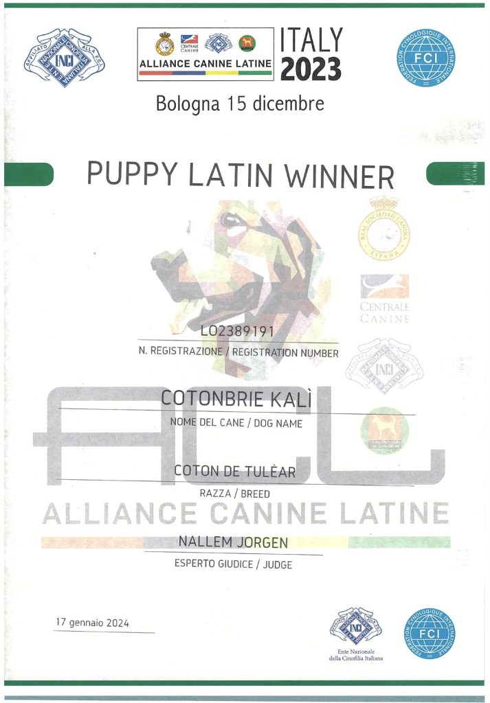 Coton de tulear breeder