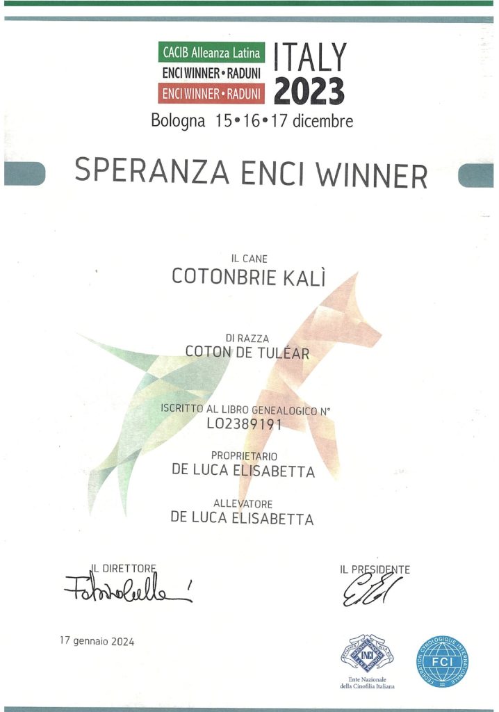 Coton top breeder